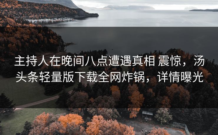 主持人在晚间八点遭遇真相 震惊，汤头条轻量版下载全网炸锅，详情曝光