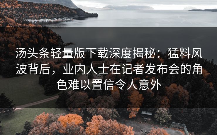 汤头条轻量版下载深度揭秘：猛料风波背后，业内人士在记者发布会的角色难以置信令人意外