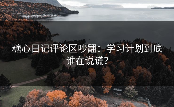 糖心日记评论区吵翻：学习计划到底谁在说谎？