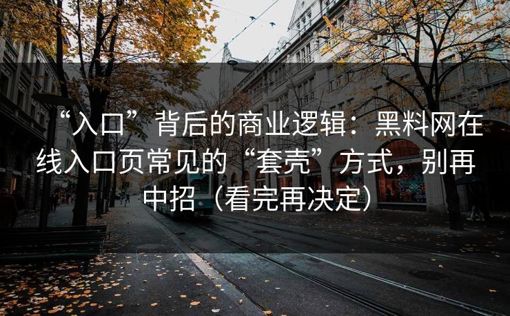 “入口”背后的商业逻辑：黑料网在线入口页常见的“套壳”方式，别再中招（看完再决定）